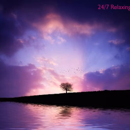 24/7 Deep Sleep Music Relaxing Music Insomnia Sleep Relaxing Music Study Sleep Meditation
