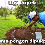 Saung Radio