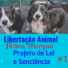 Projeto-de-Lei-e-Senciência