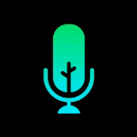 Wings Radio