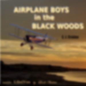 Airplane Boys in the Black Woods by E. J. Craine (1881 - )