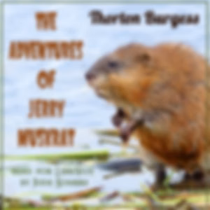 Adventures of Jerry Muskrat (Version 2), The by Thornton W. Burgess (1874 - 1965)