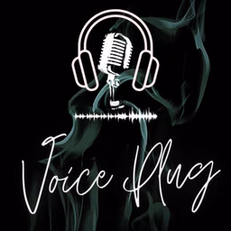VOICE PLUG
