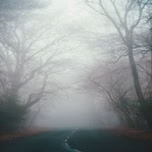 3 Historias de Terror en Bosques