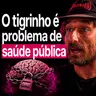 Neurocientista Alerta: O Cérebro Pobre é Mais Vulnerável à Aposta - Fabio Perin