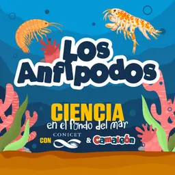 Anfípodos: Vida extrema en el fondo del mar