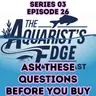 The Most Important Questions To Ask Before Choosing An Aquarium Fish