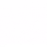 Ridionet