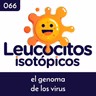 El genoma de los virus
