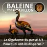 BEST OF D'ÉTÉ #28 La Gigafaune du passé 4/4 : Pourquoi ont-ils disparu ? (Pierre-Olivier Antoine )