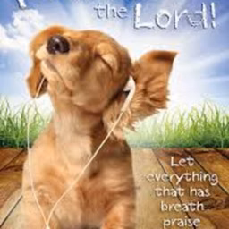 Praise The Lord