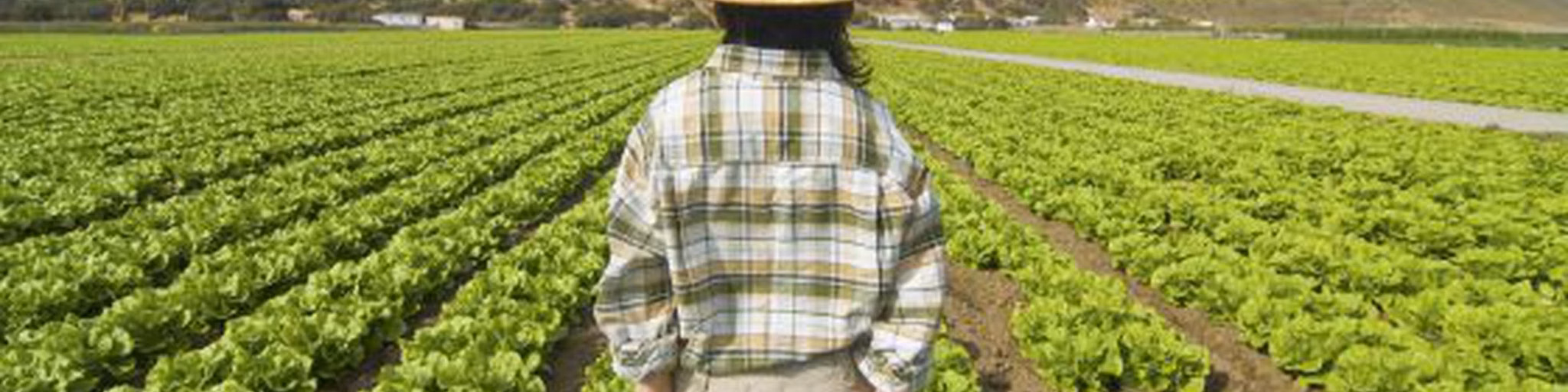 radio agricultor en sintonia