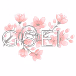 GSEI RADIO