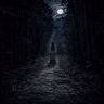 Don't Look Back When You're Alone In The Woods