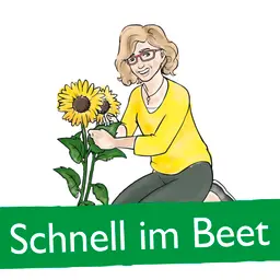 Schnell im Beet - Stechmücken