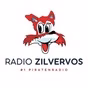 Radio Zilvervos