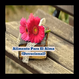 Alimento para el Alma