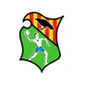 cuña presentacion balonmano.mp3