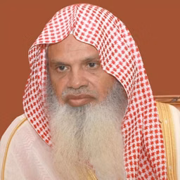 Ali Al-Hudhaifi - Hafs on the authority of Asim