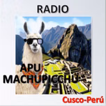 APU MACHUPICCHU