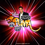 RADIO PUMA