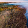 Ep. 81 - Keepin' Wetlands Wet: The Western NY Land Conservancy's Mission to Save Bear Lake