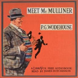Meet Mr. Mulliner