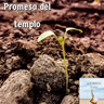 Promesa del templo
