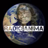 EP316 La Domanda che dissolve tutto con Ramana Maharshi