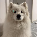 Struczek