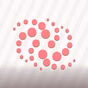 Santa Rosa Stereo FM
