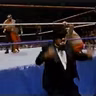 GFA Live #276: WWF Superstars 11-10-1990 (Demolition reunites with Mr. Fuji)