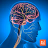 Is there science behind the ‘nervous system reset’?