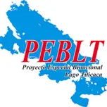 Pelt Radio