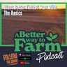 378: Want Better Yields? Start With The Basics