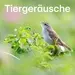 104.6 RTL - Tiergeräusche
