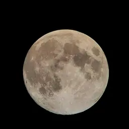 SpaceX - Alte Rakete schlägt auf dem Mond ein