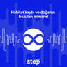 Habitat kaybı ve doğanın bozulan mimarisi