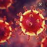 Pandemia Del Coronavirus