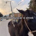 romerozinho