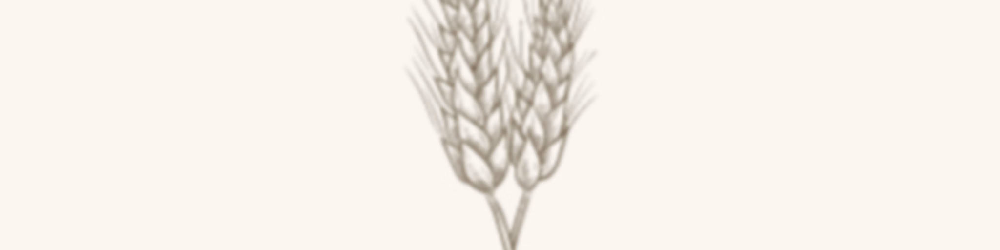 Sifted Wheat