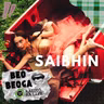 Saibhin - Ceoltóir agus Cumadóir