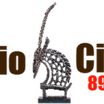 Radio Ciwara (C-FM)