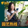 【园艺热线】如何自制水果酵素？与堆肥相比效果如何？