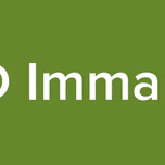 D Imman