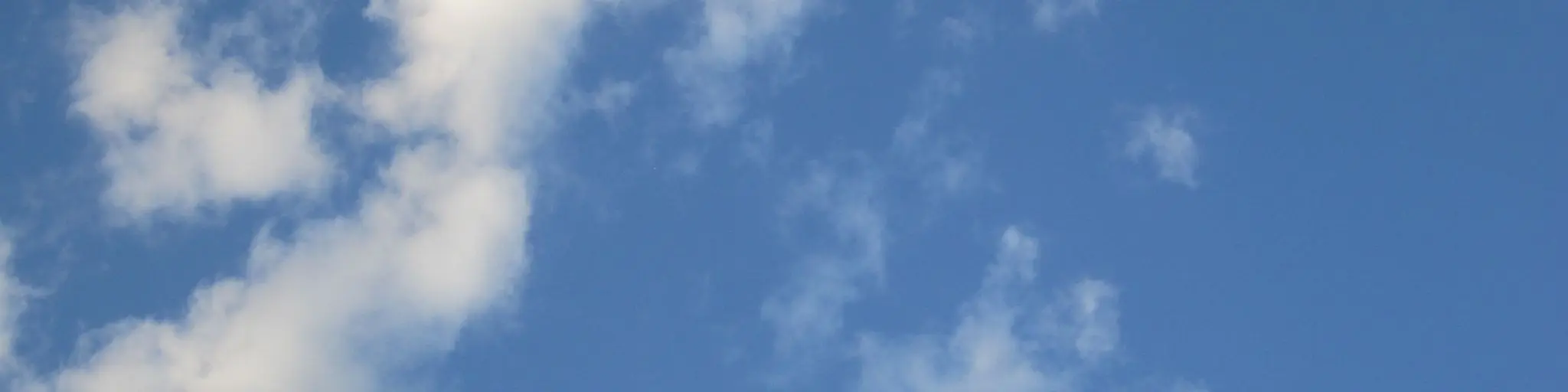 CWTZW66