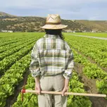 radio agricultor en sintonia