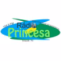 Rádio Princesa 104.9 FM