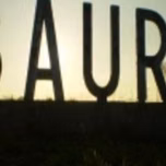 Bauru Sem Limites Fm