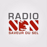 Radio Saveur Du Sel